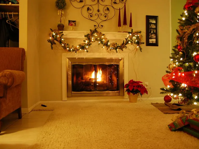 Wood burning fireplace