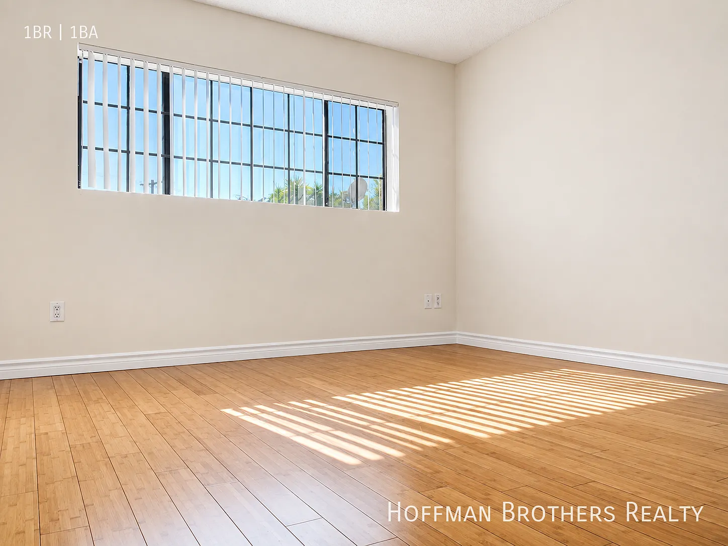 9801 Tabor St Los Angeles, CA 90034 — Photo 4