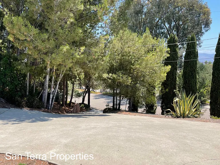 11768 Shadowglen Rd — Photo 19