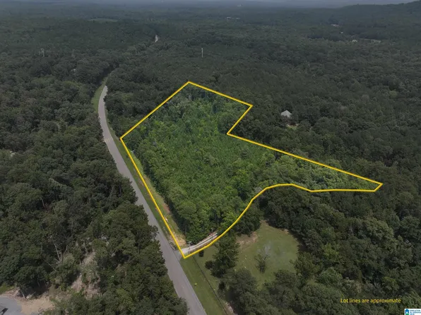 0 Bear Creek Rd, Sterrett, AL 35147