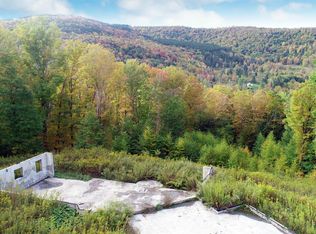 920 Hill Rd, Margaretville, NY 12455