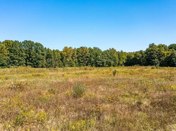 Tharp Lake Rd, Cassopolis, MI 49031