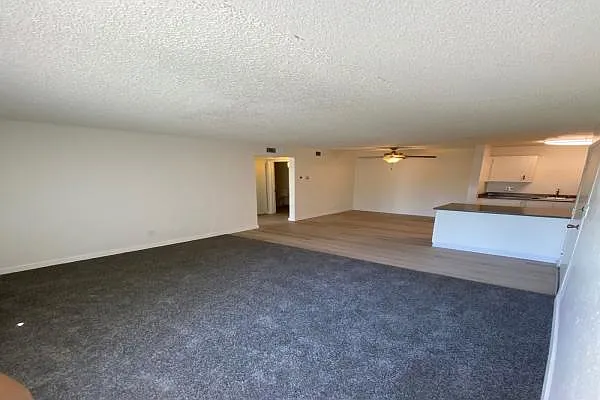Terra Villa Apartments — Photo 6