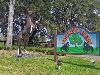 SW 93rd Ln LOT 1, Ocala, FL, 34476