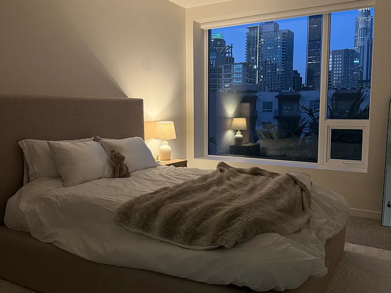 1050 S Grand Ave #810 — Photo 9