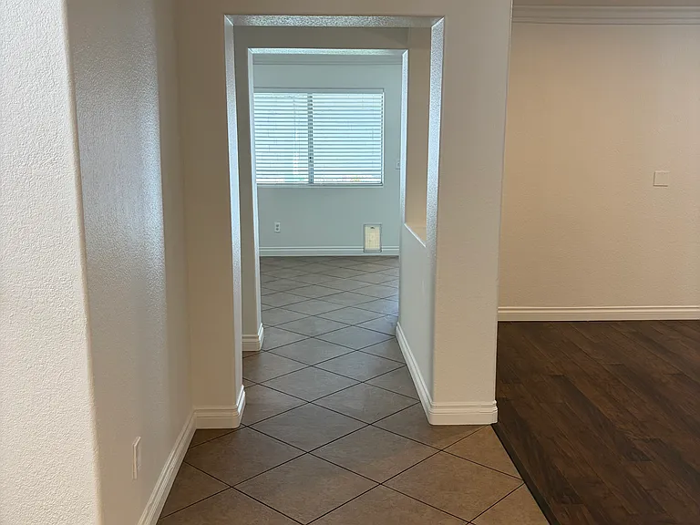 9149 Bucksprings Dr — Photo 6