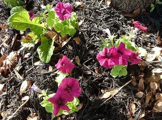 3800 Galena Hills Loop, Round Rock, TX 78681