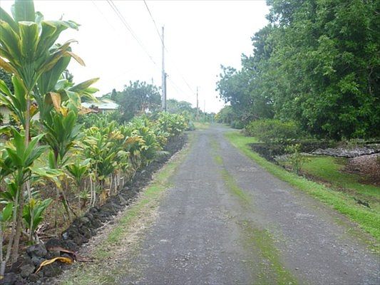 3rd image of 17-167 Papapa St #37