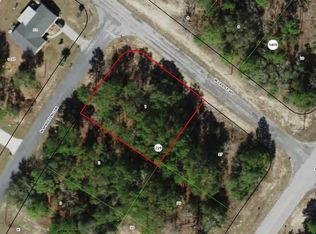 10200 N Spaulding Dr LOT 1, Dunnellon, FL 34433
