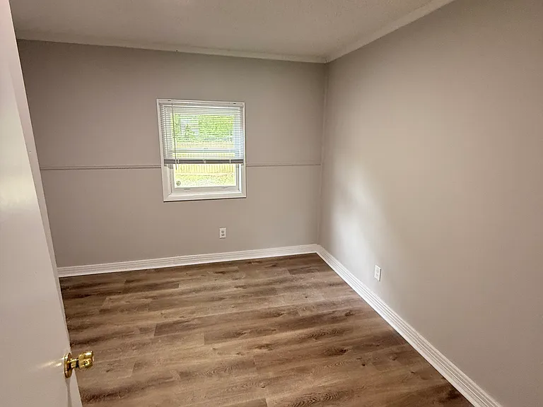 4923 Barella Dr — Photo 10
