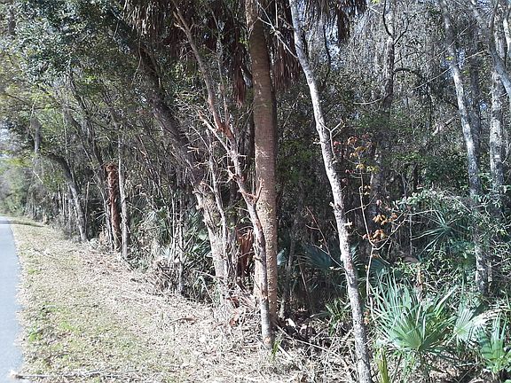 4th image of 1516 County Road 25a