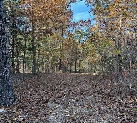 3rd image of 0 M Country Road 272
