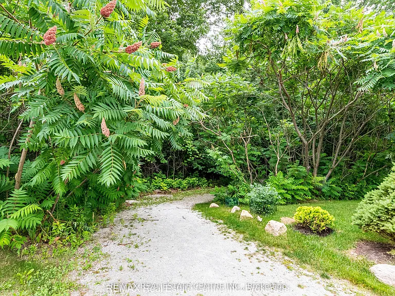 27 Lady Evelyn Cres — Photo 47