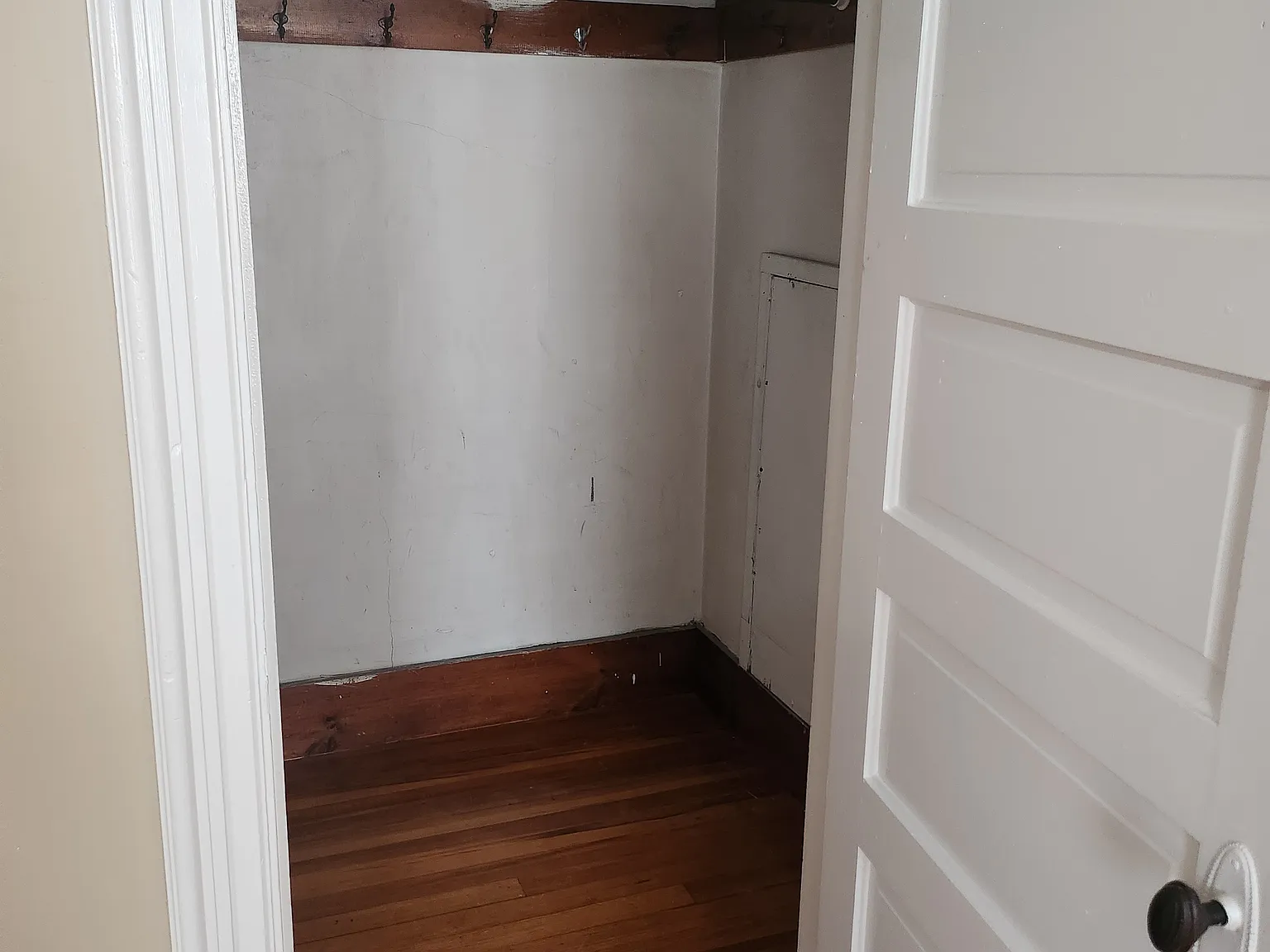1 bed, 100 sqft, $1,700 — Photo 2