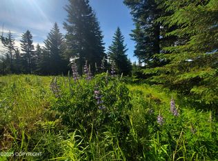 17528 Chefornak St, Ninilchik, AK 99639