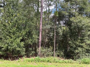 SW 202nd Ct LOT 11, Dunnellon, FL 34431