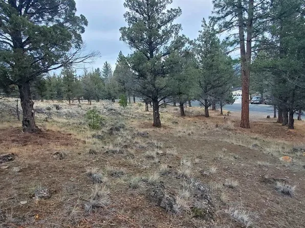 Unit Lake Shore Dr #1-lot 16, Weed, CA 96094