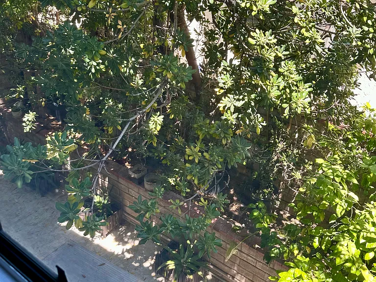 Marshall Way — Photo 14