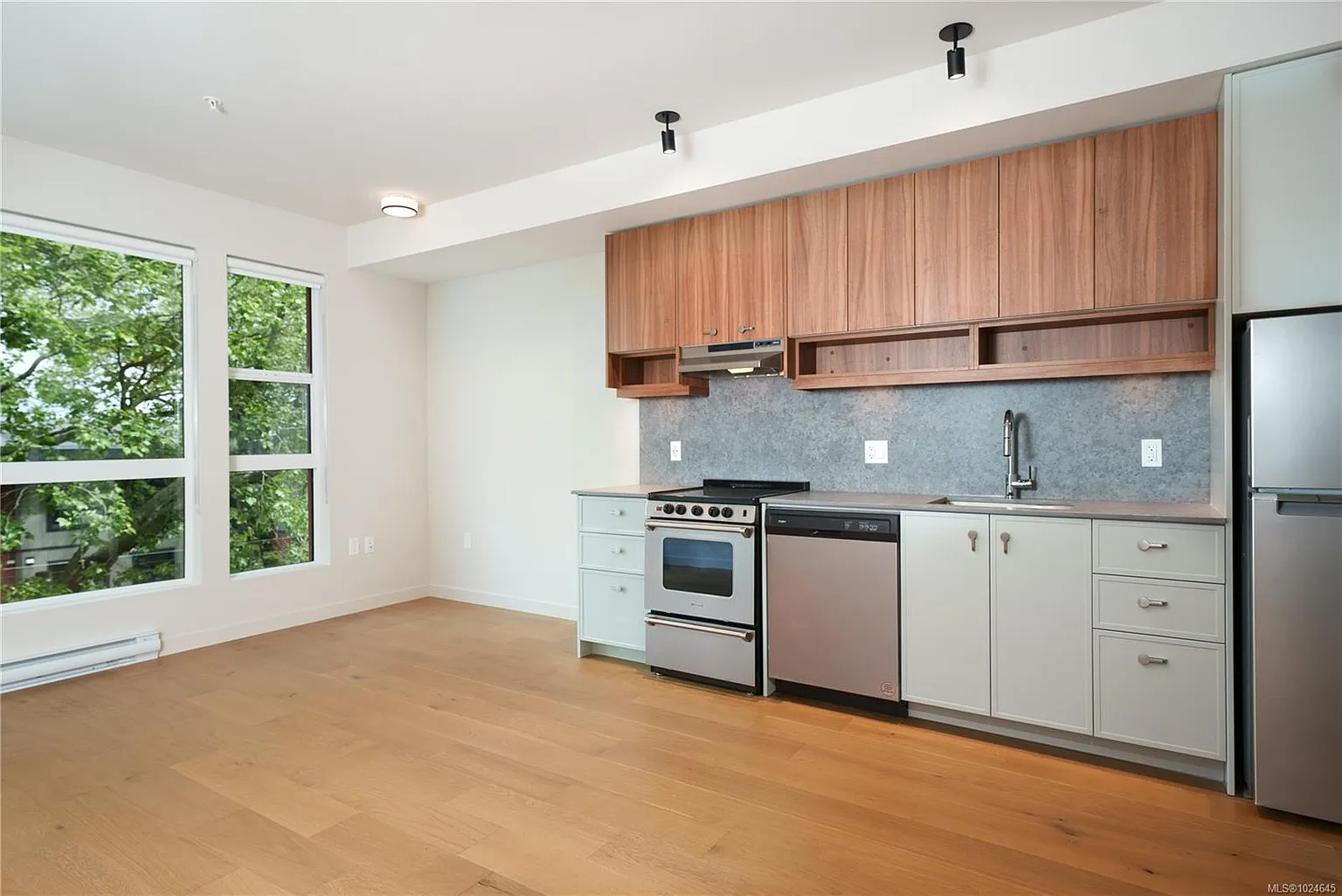 629 Speed Ave #205 photo 1