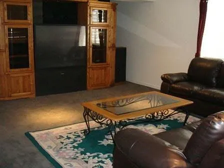 Basement Family Room
