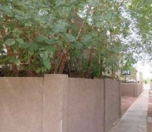 Property Side View
