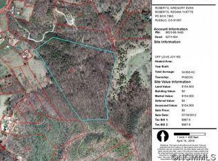 Off Love Joy Rd, Canton, NC 28716