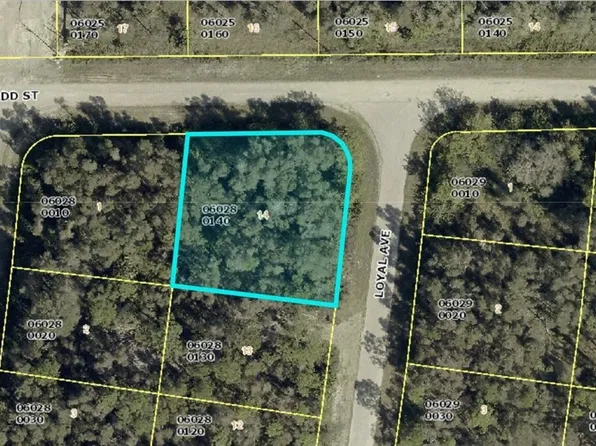 1008 Loyal Ave S, Lehigh Acres, FL 33974
