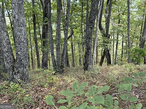 4th image of 1417 Fox Hound Trl