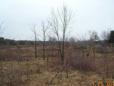 0 Braden Rd, Byron, MI, 48418