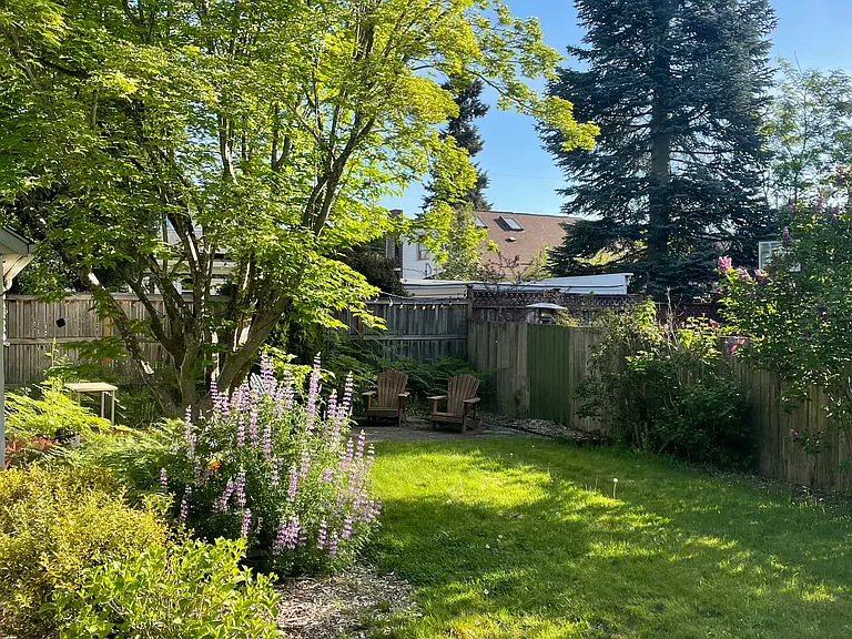backyard from driveway