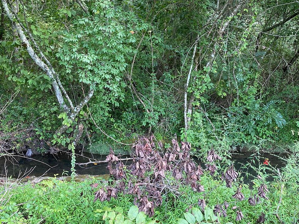 2nd image of Rifle Range Rd Lot 16