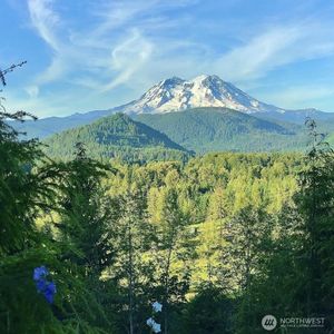 107 Emmons Drive, Morton, WA, 98356