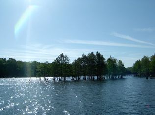 7 Hickory Landing Ct, Elloree, SC 29047