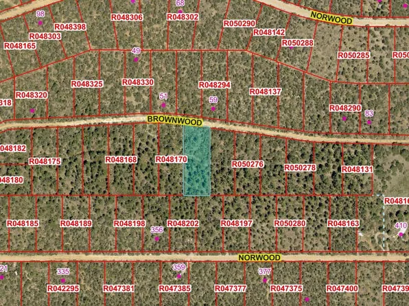 Bronwood Dr, Timberon, NM 88350