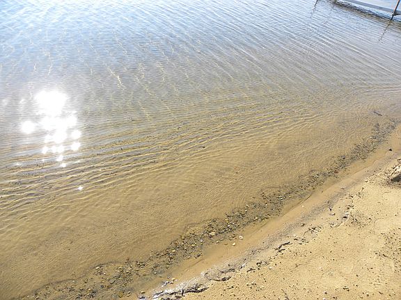 Sandy shoreline