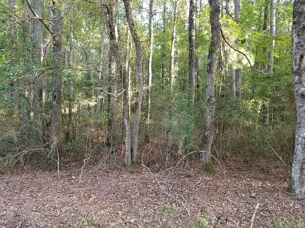 0 Buckhead Rd, Smoaks, SC 29481