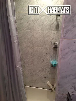 Rented by Citi Habitats | media 38