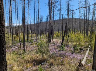 1690 Trimm Pl, Fort Garland, CO 81133