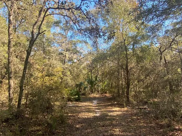  SE 875th St, Old Town, FL 32680