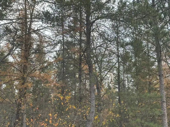 NEAR HWY 13, Ashland Town, WI 54806
