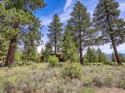 12447 Settlers Ln, Truckee, CA, 96161