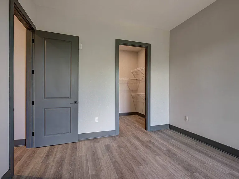 Large Bedroom with Walk-In Closet