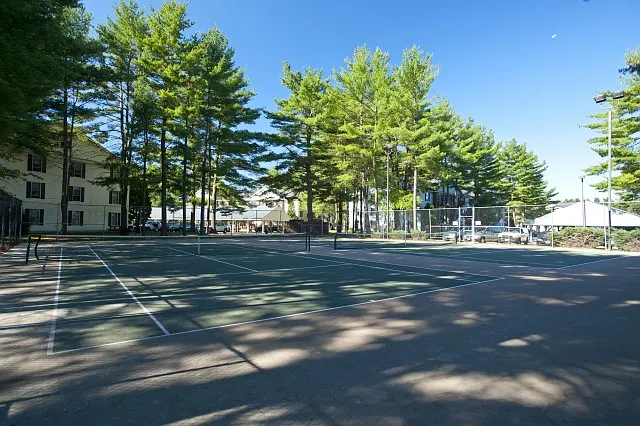 Alton Woods — Photo 7