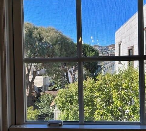 View out the back