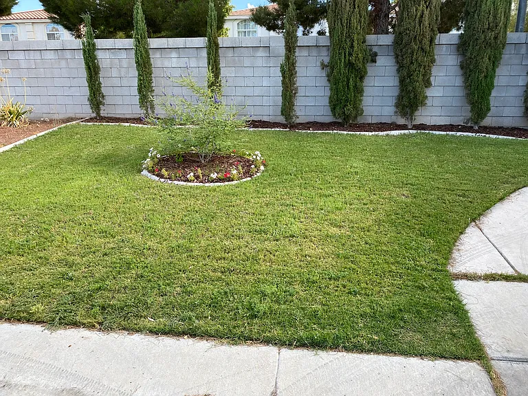 10087 Distant Rain Ct — Photo 3