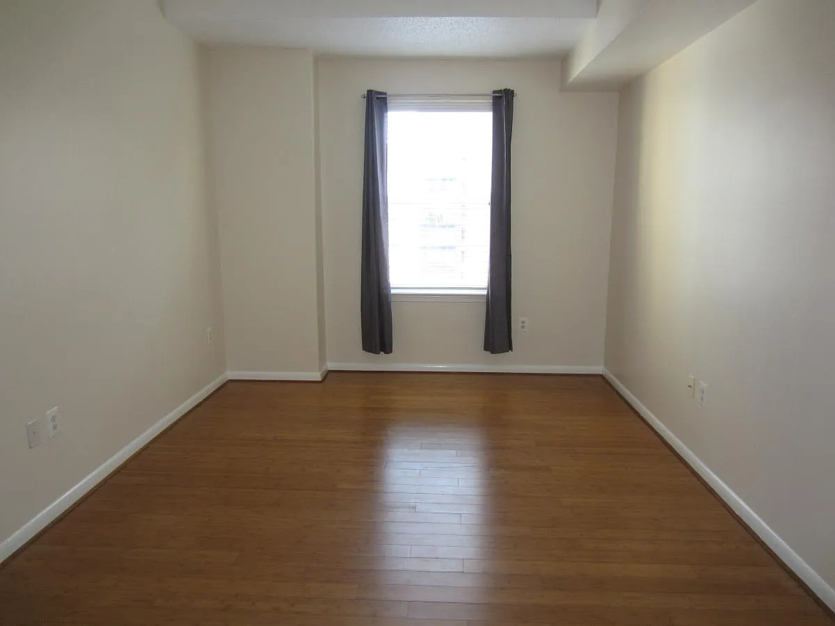 2 bed, 1080 sqft, $3,700 — Photo 3