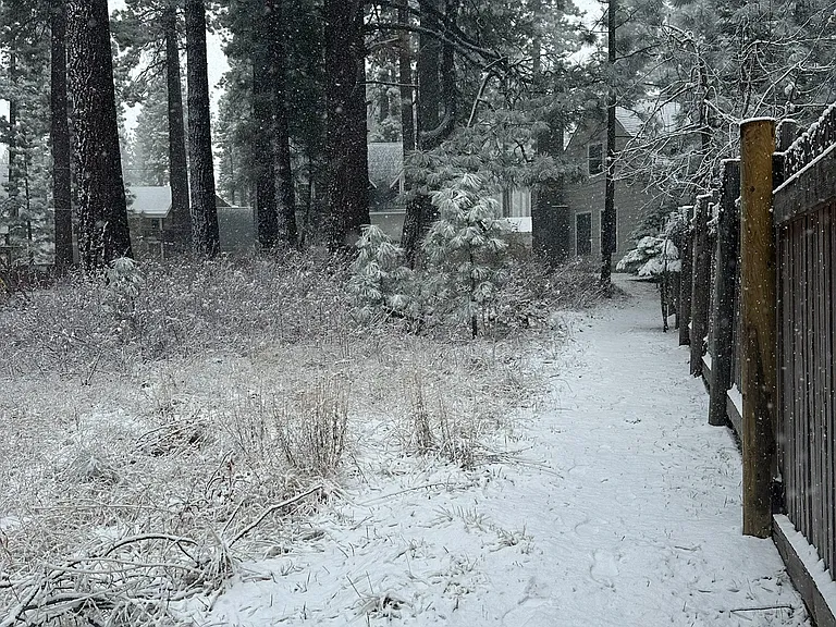 Trail to heavenly forest