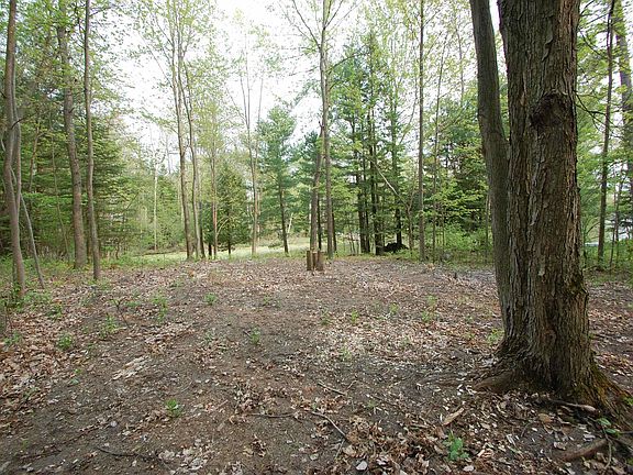 3rd image of LOT 192 W Caribou Trl