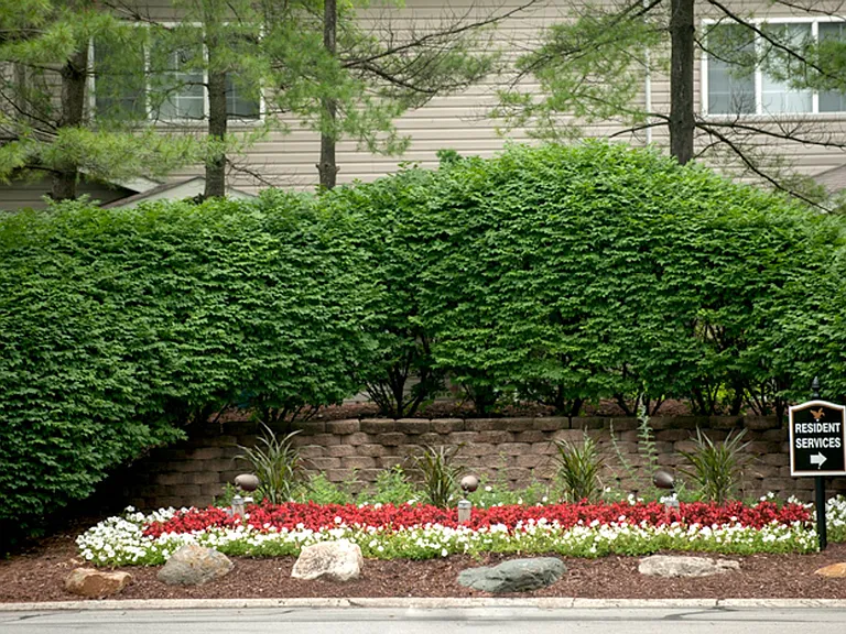 Eagle Landing Apartment Homes — Photo 7
