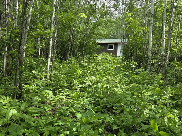 Xxx Mount Nelson Rd, Mahtowa, MN 55707